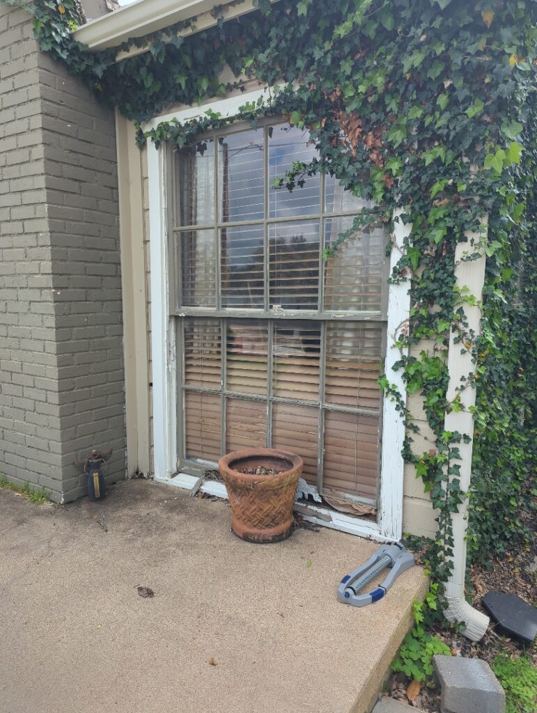 Full home window and door 1